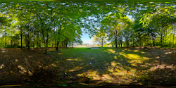 Stadtweiher